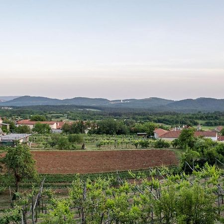 Apartma Oddih Dutovlje Buitenkant foto
